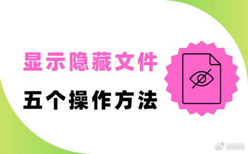 如何在电脑上把隐藏的文件显示出来？3种简单方法！