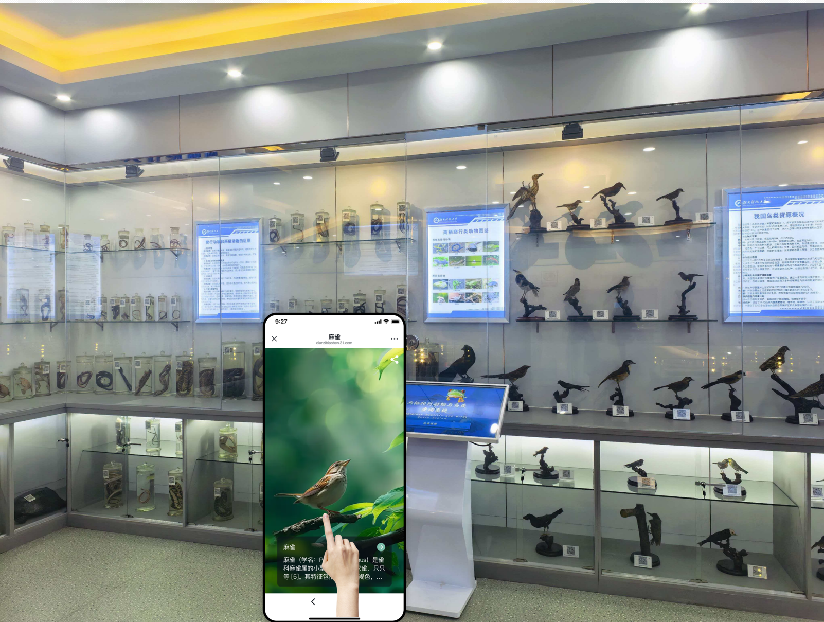 【web应用】在线植物查询科普系统|动植物标本查询系统